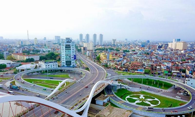 Hình ảnh cận cảnh bông hoa hồng màu xanh lá cây độc đáo