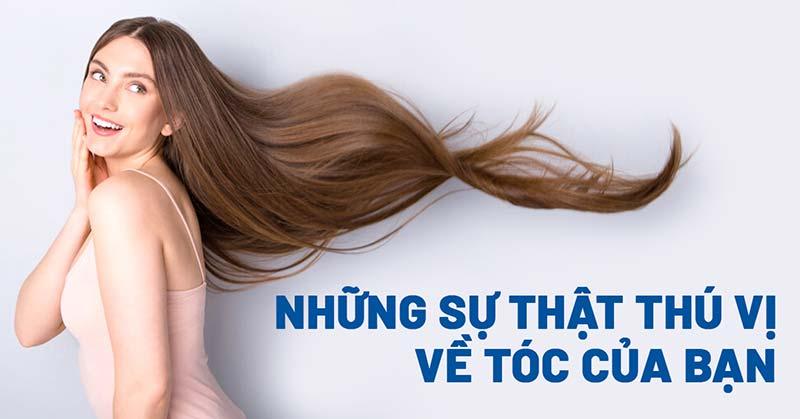 Các kiểu tóc xoăn đẹp cho nam giới dựa trên chất tóc tự nhiên, gợi ý phù hợp với từng loại sợi tóc và mật độ tóc.