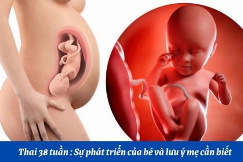 Hình ảnh một gia đình trẻ (bố, mẹ, em bé) quây quần bên nhau, thể hiện sự hỗ trợ và niềm vui trong giai đoạn sau sinh