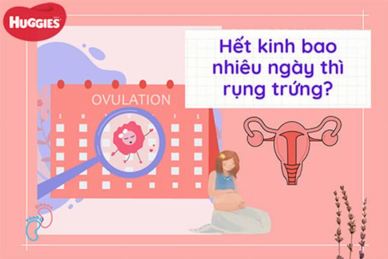 Một cuốn lịch đếm ngược giúp bạn biết còn bao lâu nữa đến Giáng sinh